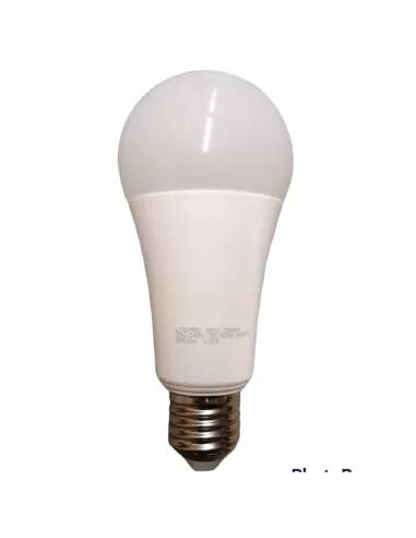Lampe LED Greenplux GP-S-LCG7150 20 W (150 W) 3000 K°